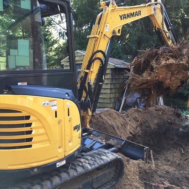 Stump Removal in Lynchburg Virginia